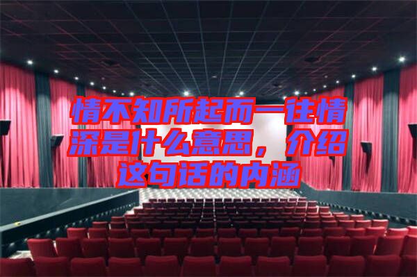 情不知所起而一往情深是什么意思，介紹這句話的內涵