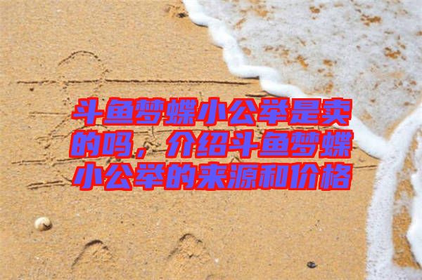 斗魚夢蝶小公舉是賣的嗎，介紹斗魚夢蝶小公舉的來源和價格