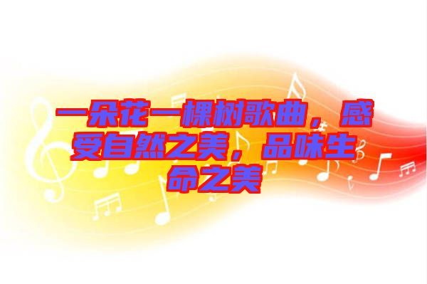 一朵花一棵樹歌曲，感受自然之美，品味生命之美