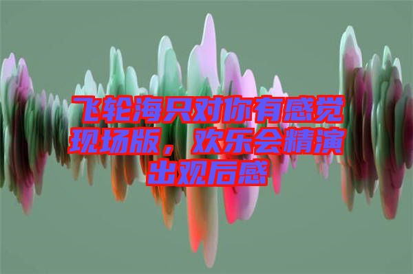 飛輪海只對(duì)你有感覺(jué)現(xiàn)場(chǎng)版，歡樂(lè)會(huì)精演出觀(guān)后感