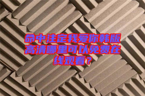 命中注定我愛你韓版高清哪里可以免費在線觀看？