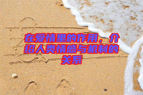 在愛情里的作用，介紹人類情感與機制的關系