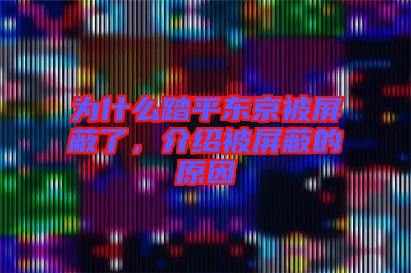 為什么踏平東京被屏蔽了，介紹被屏蔽的原因