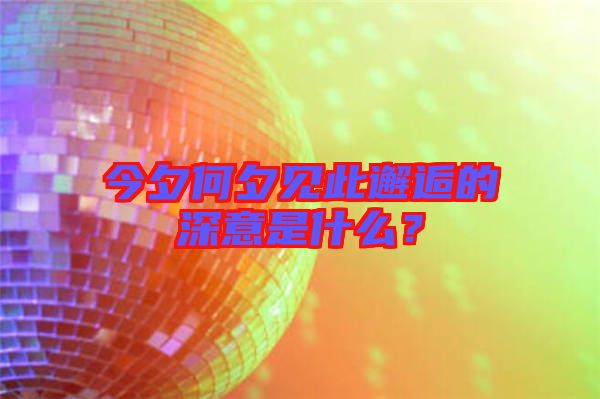 今夕何夕見此邂逅的深意是什么？