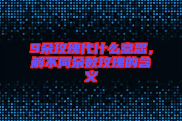 9朵玫瑰代什么意思，解不同朵數(shù)玫瑰的含義
