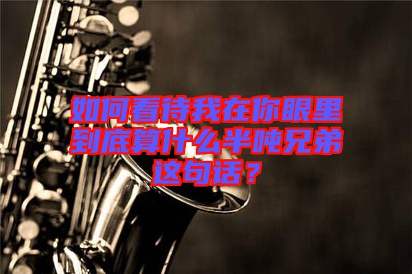如何看待我在你眼里到底算什么半噸兄弟這句話？