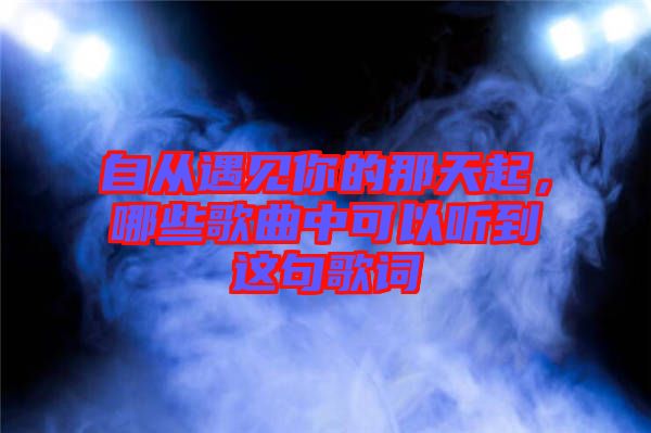 自從遇見你的那天起，哪些歌曲中可以聽到這句歌詞