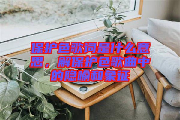 保護色歌詞是什么意思，解保護色歌曲中的隱喻和象征