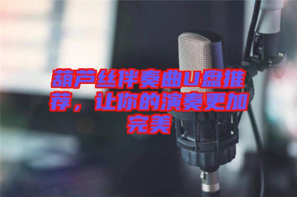 葫蘆絲伴奏曲U盤推薦，讓你的演奏更加完美