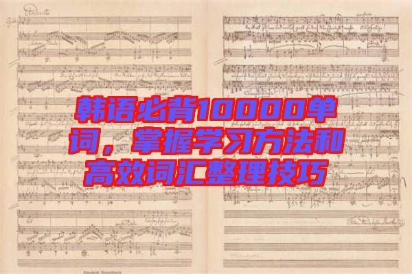 韓語必背10000單詞，掌握學(xué)習(xí)方法和高效詞匯整理技巧