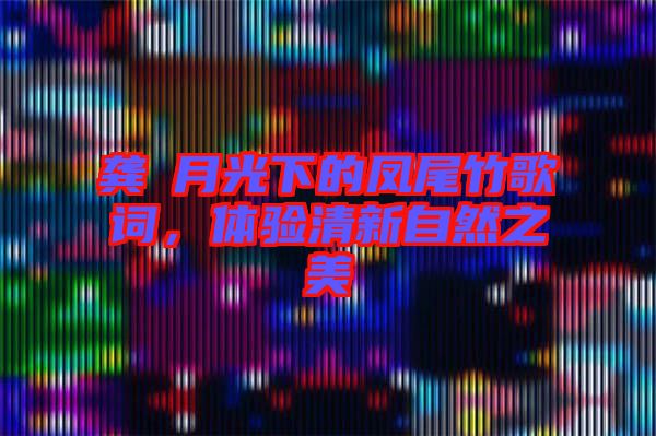 龔玥月光下的鳳尾竹歌詞，體驗清新自然之美