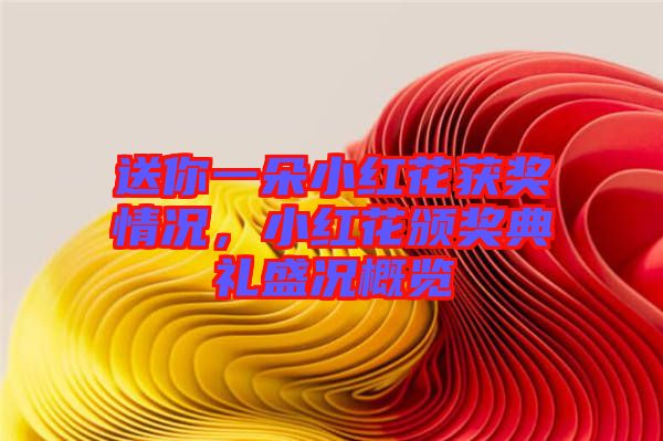 送你一朵小紅花獲獎(jiǎng)情況，小紅花頒獎(jiǎng)典禮盛況概覽