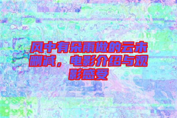 風(fēng)中有朵雨做的云未刪減，電影介紹與觀影感受